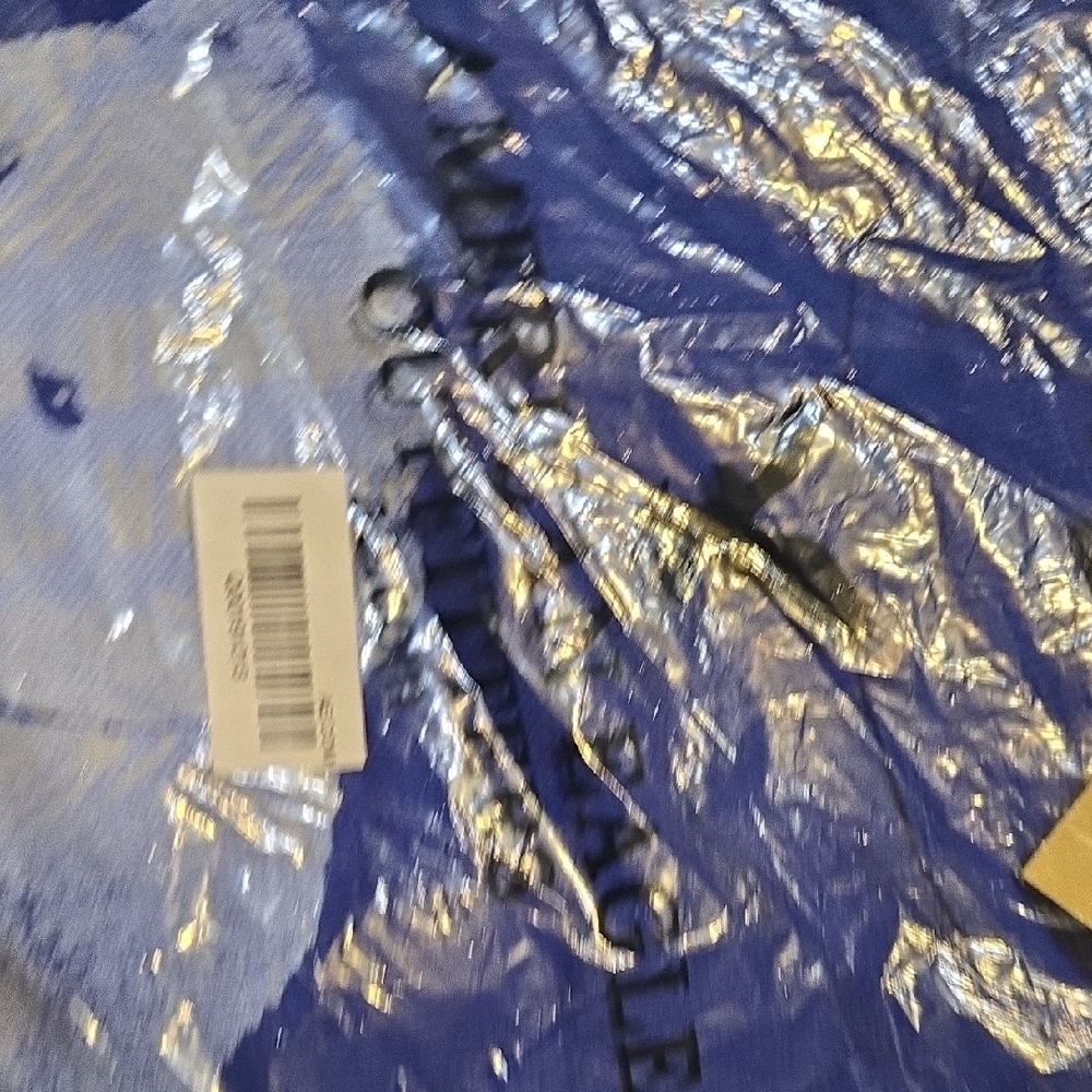 American Eagle Outfitters Blue Long Sleeve Tee